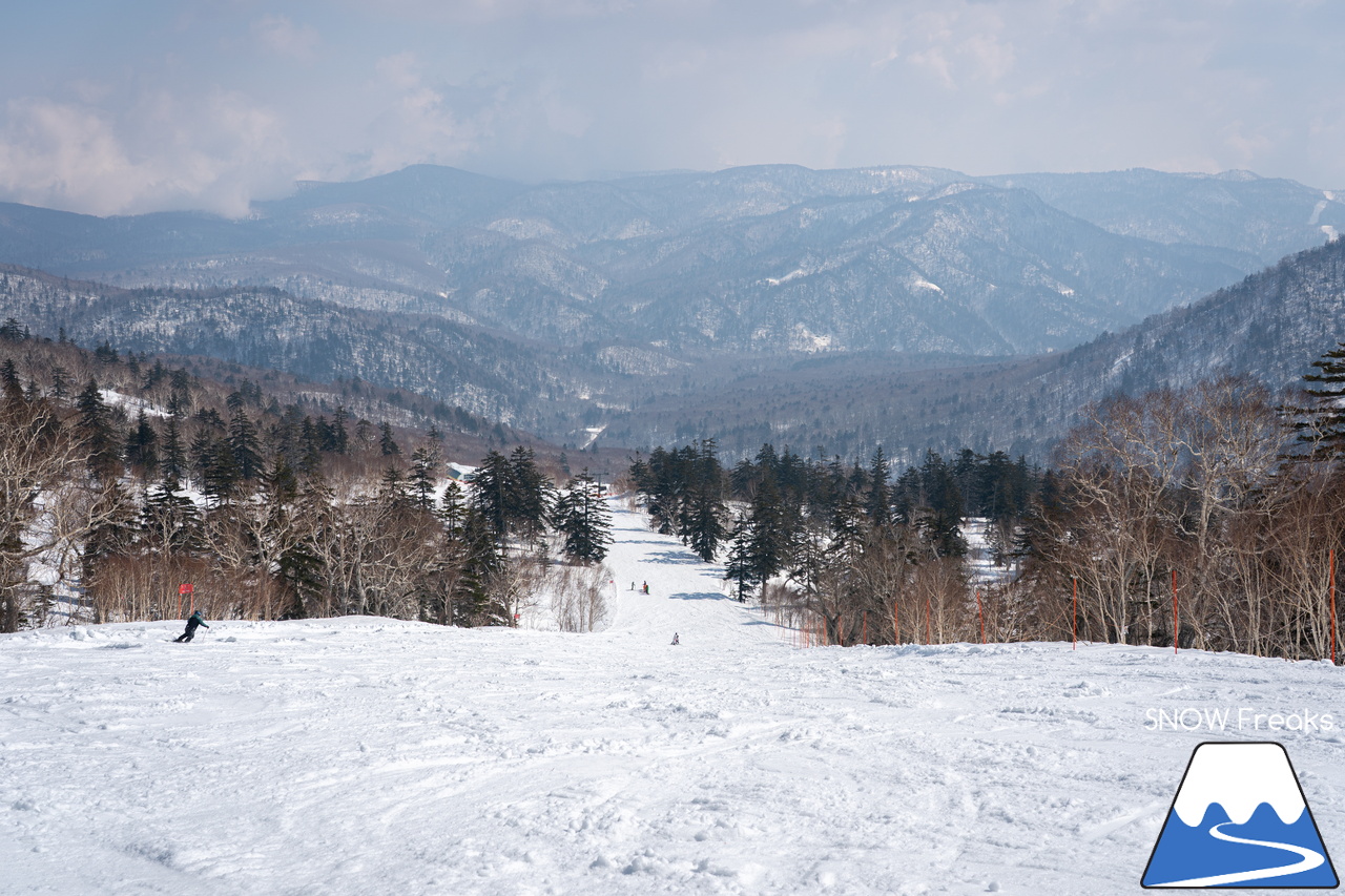 札幌国際スキー場｜さすが『KOKUSAI』！春シーズンも安泰の豊富な積雪で、まだまだ余裕で全面滑走可能です(^^)v